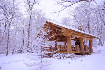 a wooden hut is like a gazebo in a winter snow-covered forest where it snows 