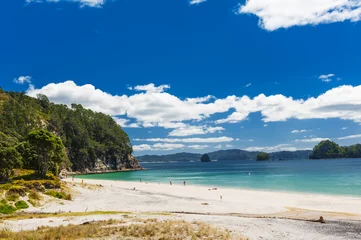 Deurstickers Hahei Beach at Coromandel Peninsula on New Zealand © Fyle