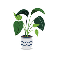 Hand Drawn Potted Houseplant in Flat Illustration