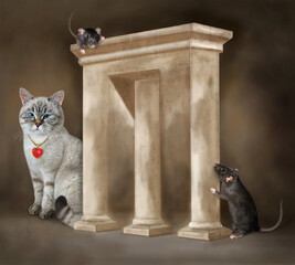 Black rats are hiding from an ashen cat behind an impossible arch.