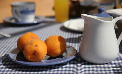 breakfast table in bandol, french riviera