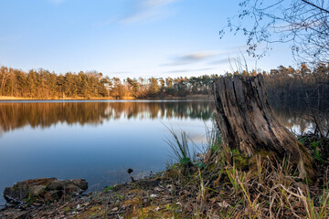 Am Kleewoog bei Gräfenhausen Sunset