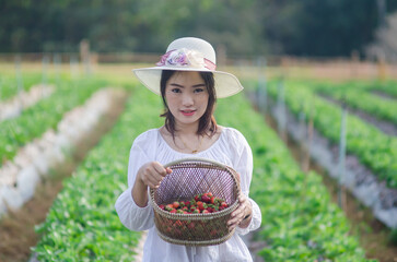An Asian woman in a hat and white dress stands in the middle of a strawberry garden holding a basket of strawberries.