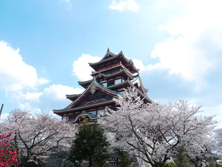 伏見桃山城の天守閣