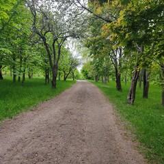 alley in the park