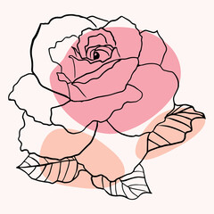 Flower rose with colors stains. Rose Line art. Vector illustration.