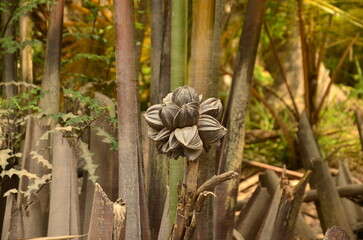 Different Vietnam images, streets, markets, temples, buildings, rivers, beaches, and national parks.