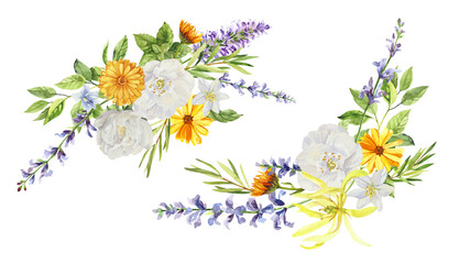 Watercolor hand painted jasmine, ylang ylang and salvia branches and flowers. Watercolor hand drawn illustration isolated on white background, aromatherapy, essential oils