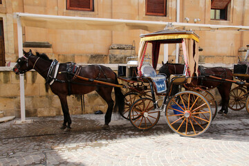 Horse-drawn carriage in a street in Valletta, Malta 