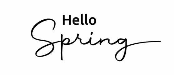 Hello Spring phrase continuous one line calligraphy with white Background