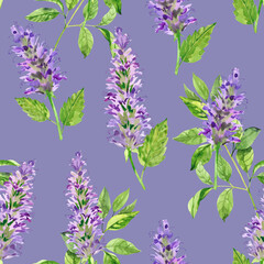 Watercolor hand painted patchouli flowers and leaves. Watercolor hand drawn seamless pattern, wallpaper, wrapping paper, aromatherapy, essential oils - obrazy, fototapety, plakaty