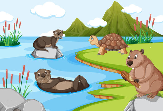 Otters with a tortoise in the forest background