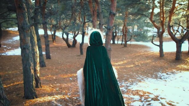 shot mystical lady in medieval clothing long green cloak cape, coat with fur, woman queen walks in winter forest conjures, girl in hood. Spring nature. Back rear view, fantasy vintage creative video.