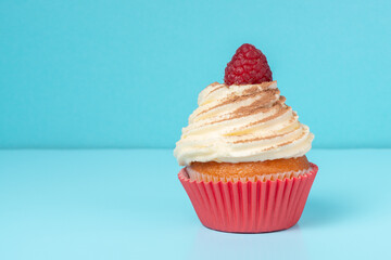 cupcakes with whipped cream decorated chocolate powder and raspberry on blue background