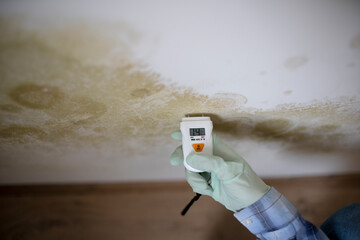 young woman measures the humidity on a wall with a lot of mold in an apartment