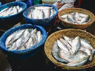 fish market stall