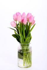 Bouquet of pink tulips tulipa in a flower vase isolated on a white background