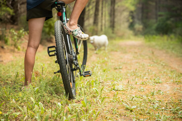 Naklejka premium happy child girl riding a bike on natural background, forest or park. healthy lifestyle, family day out