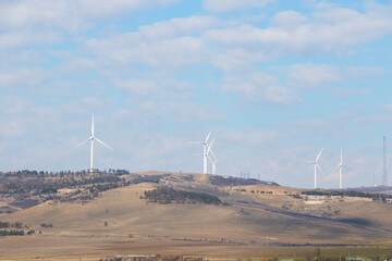Wind turbine, electrical windmill turbine, ecological resource