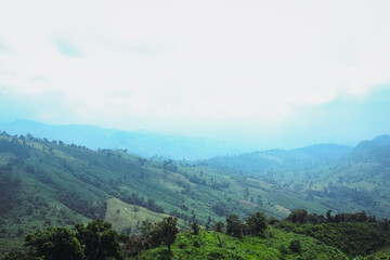 Naklejka premium landscape in the morning