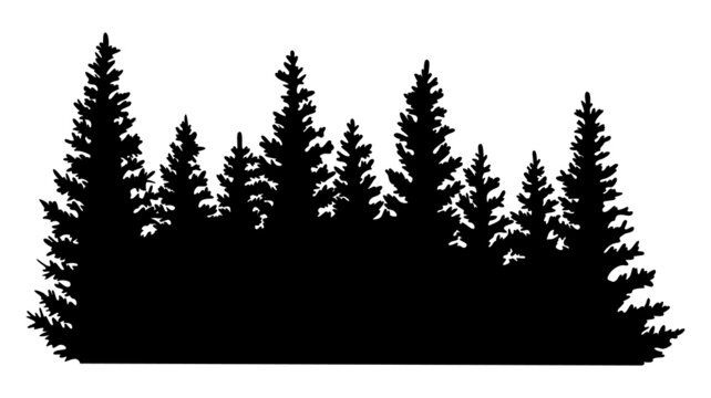 Fir trees silhouette. Coniferous spruce horizontal background pattern, black evergreen woods vector illustration. Beautiful hand drawn panorama with treetops forest
