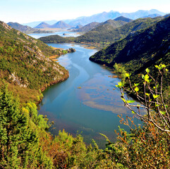 Crnojevica river landscape, Skadar lake, Montenegro