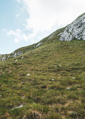 Trail to the Bobotov Kuk located in the center of Durmitor National Park in Northern Montenegro.Met these wonderful mountain goats which were shy, but gorgeous.