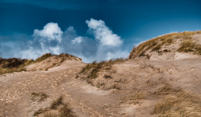 Dunes near Lild and Bulbjerg at the North Sea coast in Denmark