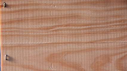 Listón de madera clara de pino con vetas
