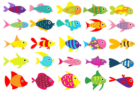 fish set cartoon flat design , isolated vector