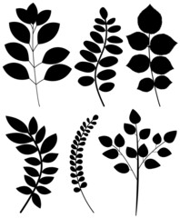 leaves set silhouette on white background, isolated vector