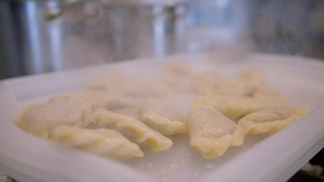 pierogi, przygotowanie pierog&oacute;w, lepienie pierog&oacute;w, dumplings, preparing dumplings, making dumplings,