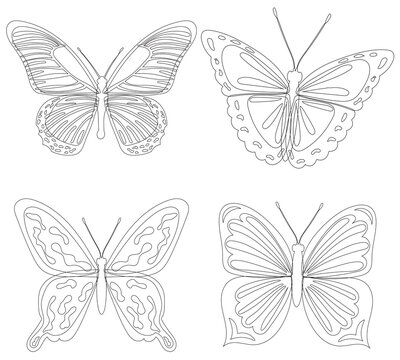 butterflies sketch, outline on white background