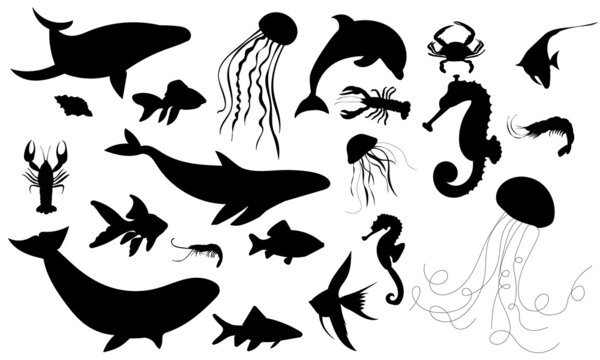 sea fish, dolphin, jellyfish set silhouette on white background, isolated vector