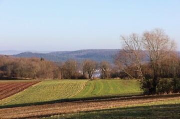 Feld mit einem Dorf im Hintergrund.
