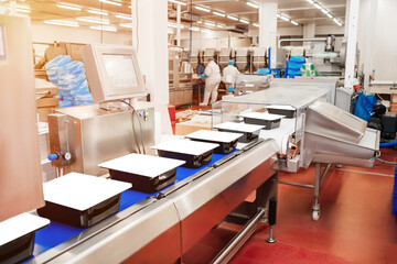 Production line with packaging and cutting of meat.Food industry chicken.Automated production line...