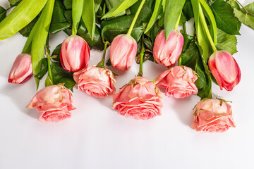 Bouquet of fresh delicate roses and tulips isolated on white background. Romantic gift concept