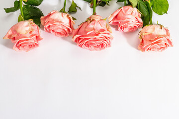 Fototapeta na wymiar Bouquet of fresh delicate roses isolated on white background. Romantic gift concept, pink flowers