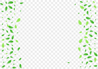 Green Vegetation Background Transparent Vector. Foliage Copy Card. Branch Design. Greenish Isolate Frame. Leaf Symbol.