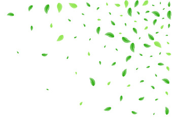 Light Green Greenery Background White Vector. Foliage Peaceful Design. Shape Texture. Greenish Park Card. Vegetation Wind.