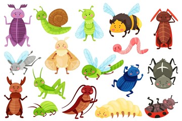 Cartoon insects, cute garden bugs, dragonfly, ladybug, spider. Funny snail, bumblebee, dragonfly, smiling insect characters for kids vector set. Illustration of dragonfly and beetle © Frogella.stock