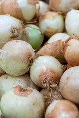Onions on the counter in the store. Healthy food and vitamins. Close-up. Vertical.