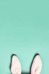 Plushy bunny ears  on bright background. Easter minimal concept