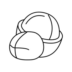macadamia nut line icon vector illustration
