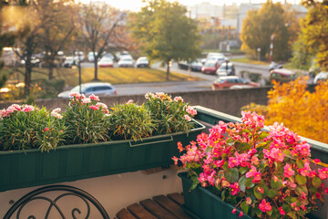 Cosy balcony with flowers in Autumn season. Home gardening. Natural floral background.