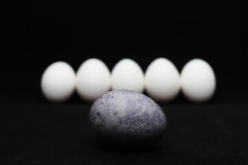 One purple Easter egg and many white eggs