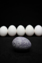 One purple Easter egg and many white eggs