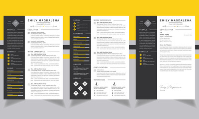 Professional Resume Template, Curriculum Vitae template Two-page design, a4 formate