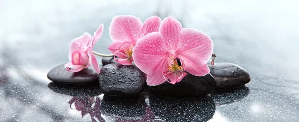 Fototapeten Badekurortsteine und rosa Orchideenblumen auf grauem Hintergrund. © Swetlana Wall