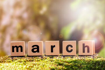 March is a word made of cubes against the background of a forest, announcing the imminent onset of spring. a warm sunny spring day in the outdoor forest